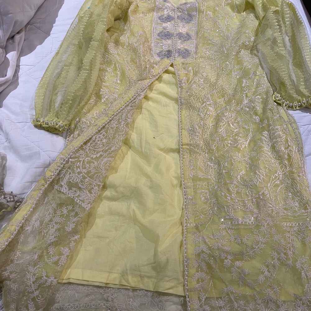 Pakistani branded dress - Picture 7 of 16